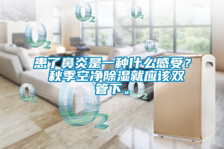 患了鼻炎是一種什么感受？ 秋季空凈除濕就應該雙管下。