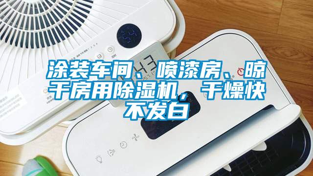 涂裝車間、噴漆房、晾干房用除濕機，干燥快不發白
