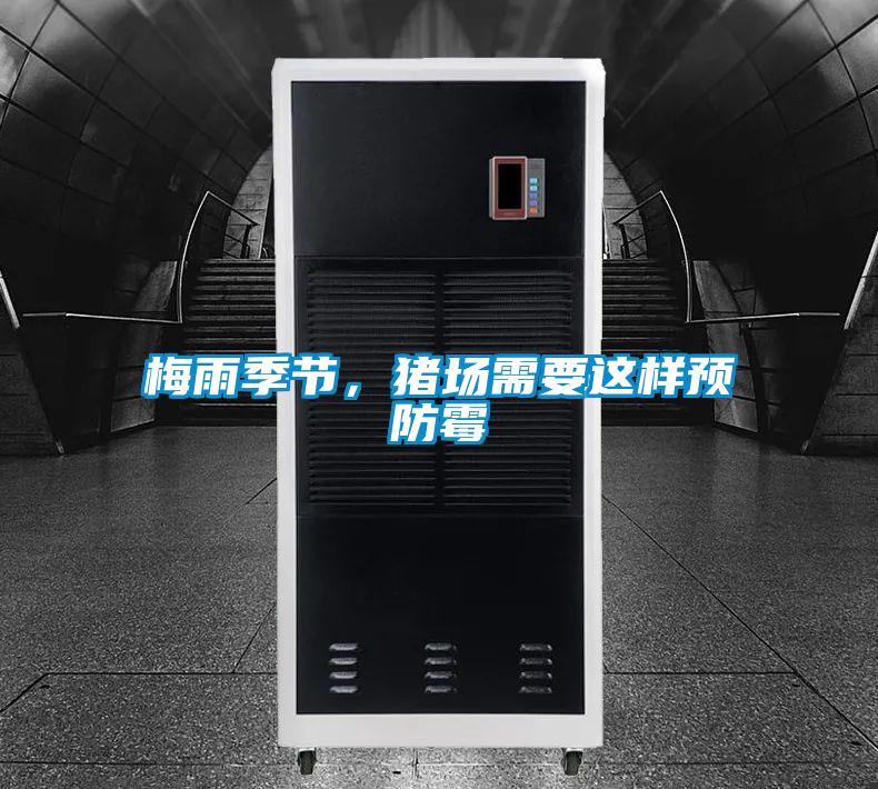 梅雨季節，豬場需要這樣預防霉
