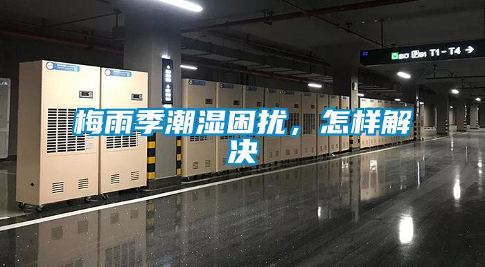 梅雨季潮濕困擾，怎樣解決