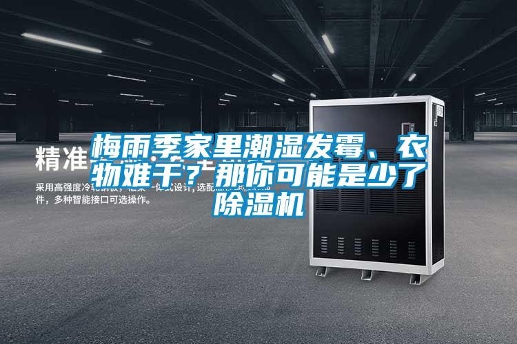 梅雨季家里潮濕發霉、衣物難干？那你可能是少了除濕機