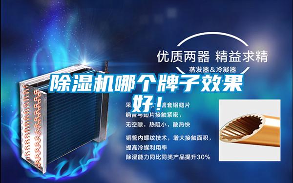 除濕機哪個牌子效果好！