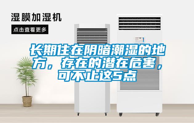 長期住在陰暗潮濕的地方，存在的潛在危害，可不止這5點