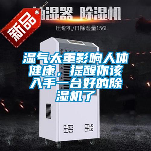 濕氣太重影響人體健康，提醒你該入手一臺(tái)好的除濕機(jī)了