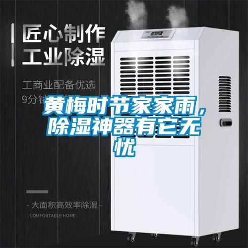 黃梅時節家家雨，除濕神器有它無憂