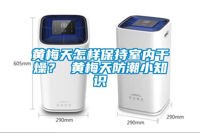 黃梅天怎樣保持室內(nèi)干燥？ 黃梅天防潮小知識