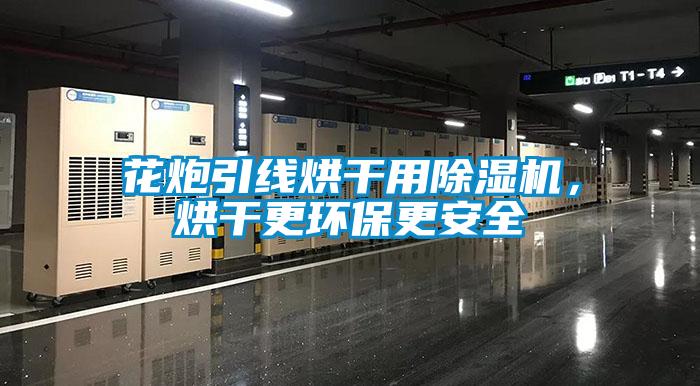 花炮引線烘干用除濕機，烘干更環保更安全