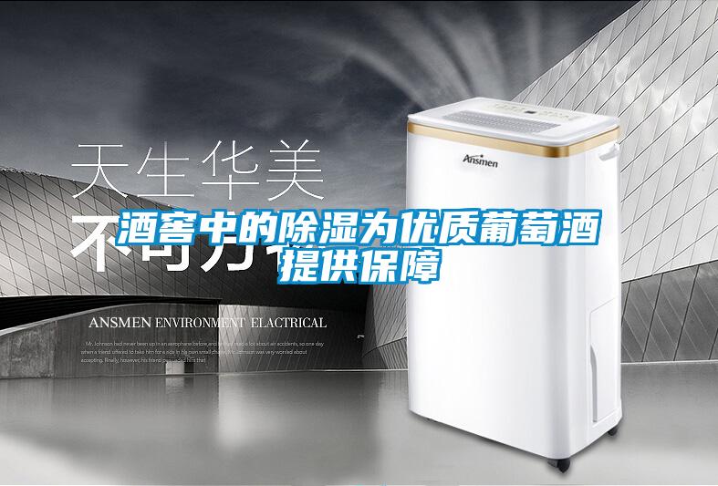 酒窖中的除濕為優質葡萄酒提供保障