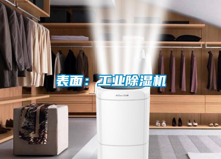 表面：工業除濕機