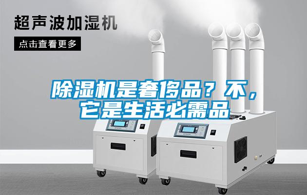 除濕機是奢侈品？不，它是生活必需品