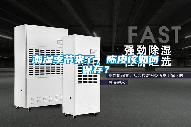 潮濕季節來了，陳皮該如何保存？
