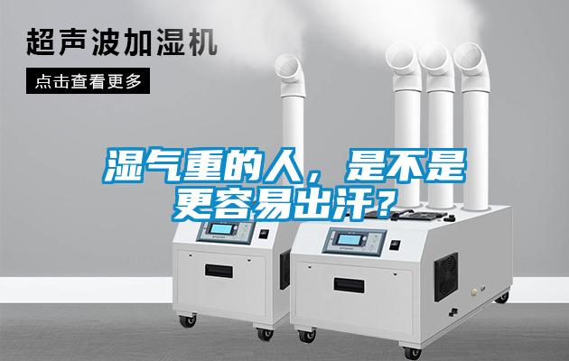 濕氣重的人，是不是更容易出汗？