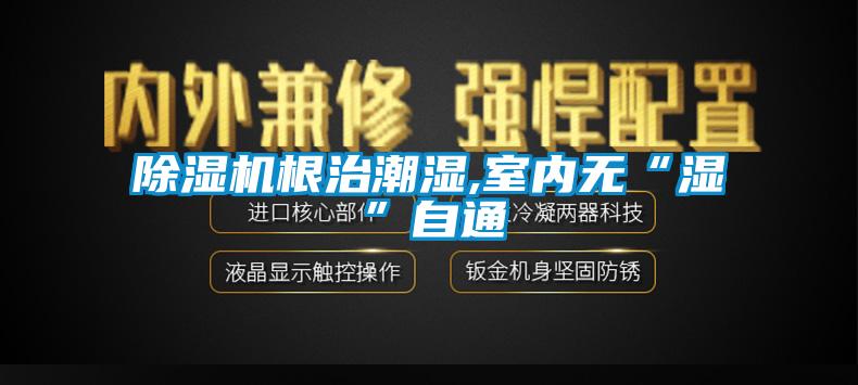 除濕機根治潮濕,室內無“濕”自通