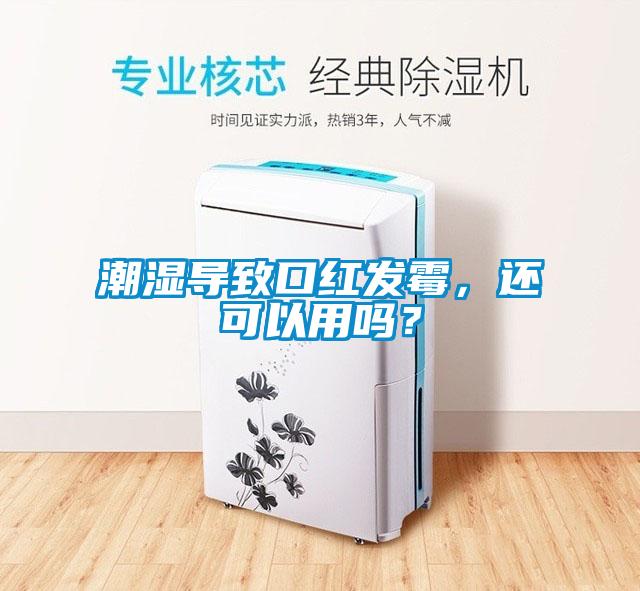 潮濕導致口紅發霉，還可以用嗎？