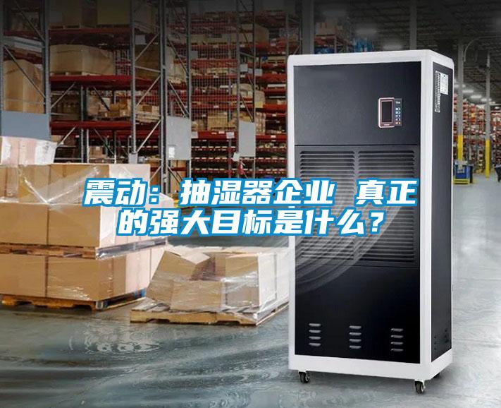 震動：抽濕器企業 真正的強大目標是什么？