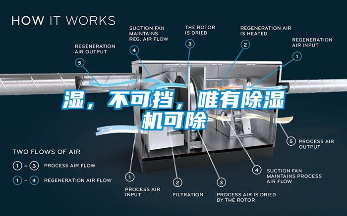 濕，不可擋，唯有除濕機可除
