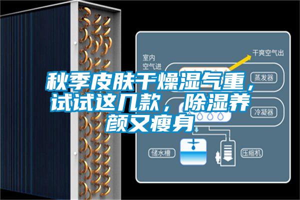 秋季皮膚干燥濕氣重，試試這幾款，除濕養顏又瘦身