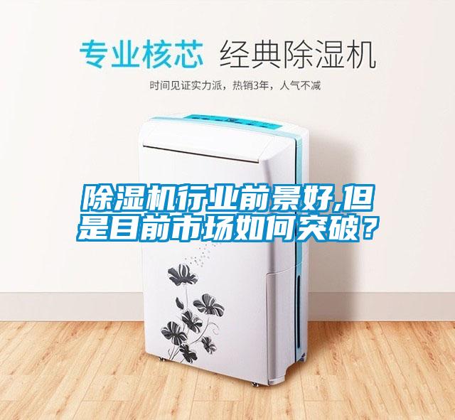 除濕機行業前景好,但是目前市場如何突破？