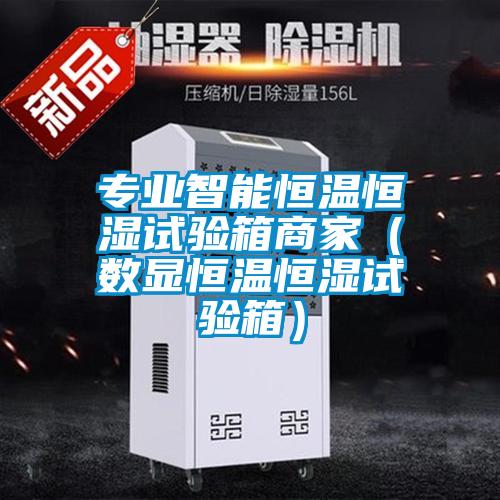 專(zhuān)業(yè)智能恒溫恒濕試驗(yàn)箱商家（數(shù)顯恒溫恒濕試驗(yàn)箱）