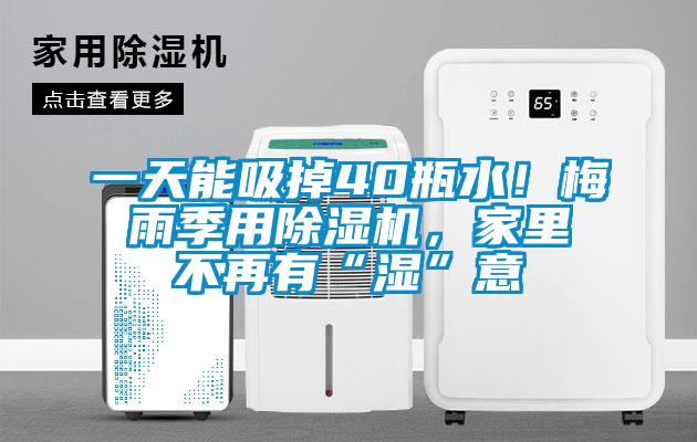 一天能吸掉40瓶水！梅雨季用除濕機(jī)，家里不再有“濕”意