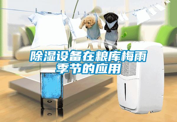 除濕設備在糧庫梅雨季節的應用