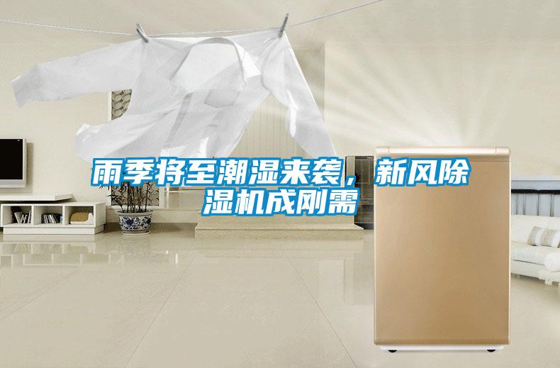 雨季將至潮濕來襲，新風除濕機成剛需
