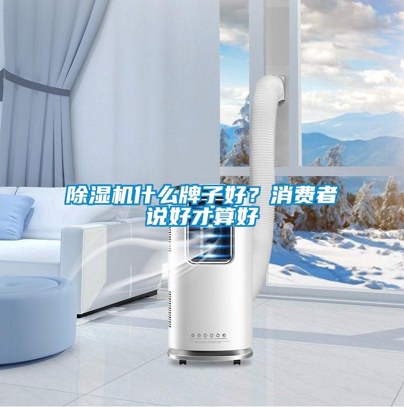 除濕機什么牌子好？消費者說好才算好