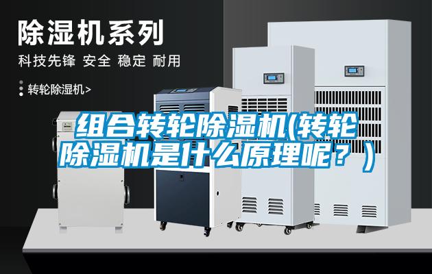 組合轉輪除濕機(轉輪除濕機是什么原理呢？)