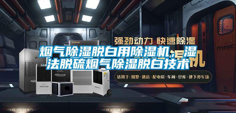 煙氣除濕脫白用除濕機(jī)，濕法脫硫煙氣除濕脫白技術(shù)