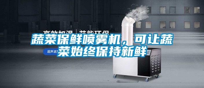 蔬菜保鮮噴霧機，可讓蔬菜始終保持新鮮