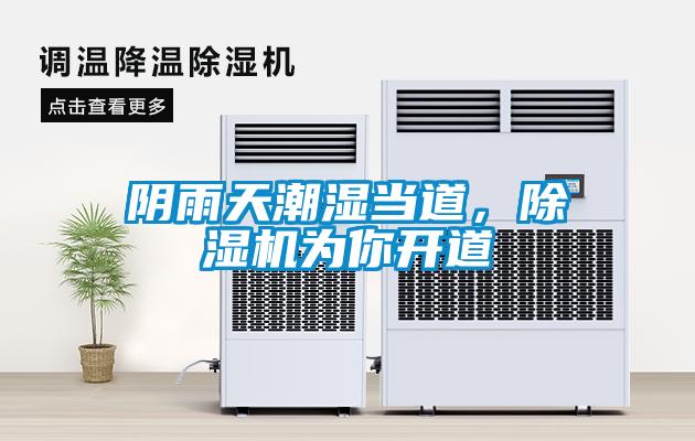 陰雨天潮濕當道，除濕機為你開道