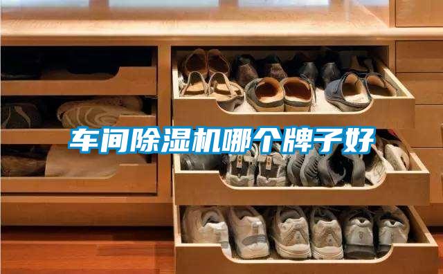 車間除濕機(jī)哪個牌子好