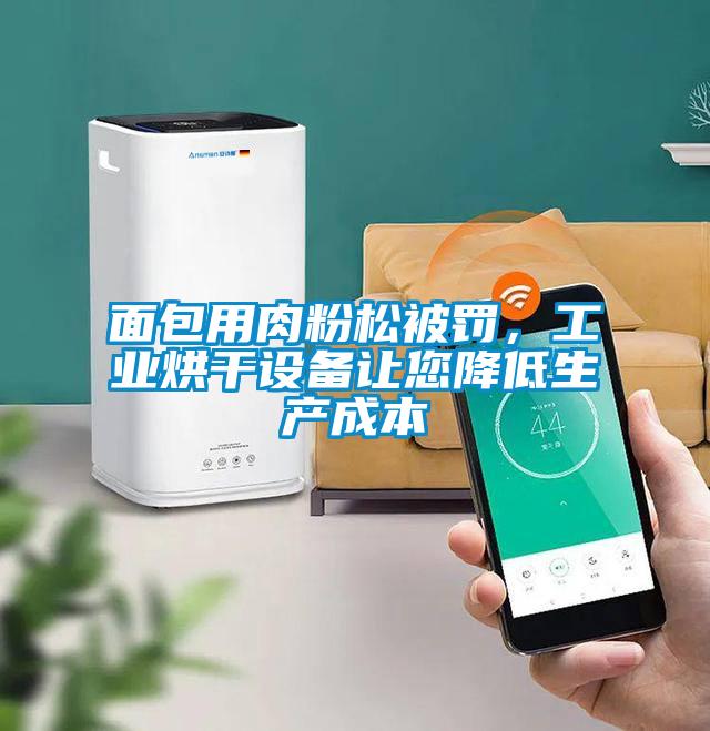 面包用肉粉松被罰，工業(yè)烘干設備讓您降低生產(chǎn)成本