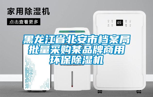 黑龍江省北安市檔案局批量采購某品牌商用環保除濕機