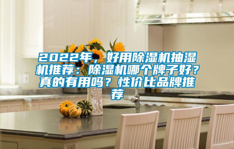 2022年，好用除濕機(jī)抽濕機(jī)推薦：除濕機(jī)哪個牌子好？真的有用嗎？性價比品牌推薦