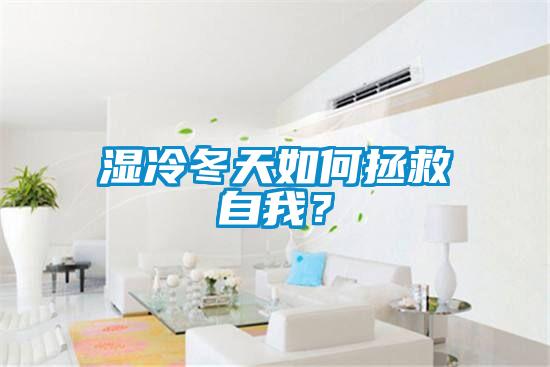 濕冷冬天如何拯救自我？