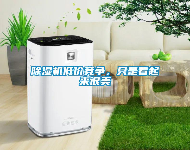 除濕機低價競爭，只是看起來很美