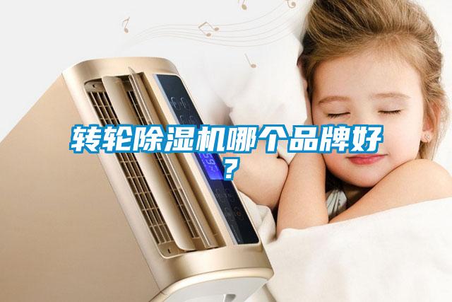 轉輪除濕機哪個品牌好？