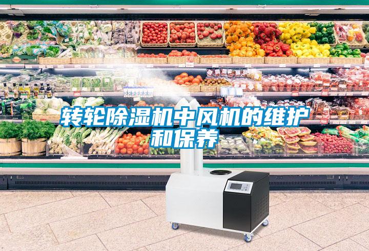轉輪除濕機中風機的維護和保養