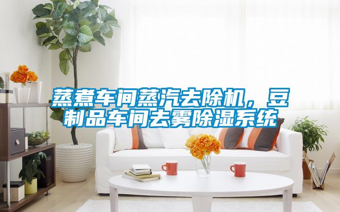 蒸煮車間蒸汽去除機(jī)，豆制品車間去霧除濕系統(tǒng)