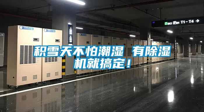 積雪天不怕潮濕 有除濕機就搞定！