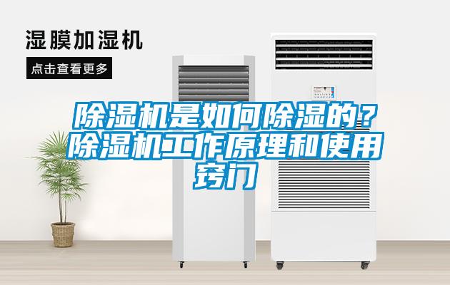 除濕機是如何除濕的？除濕機工作原理和使用竅門