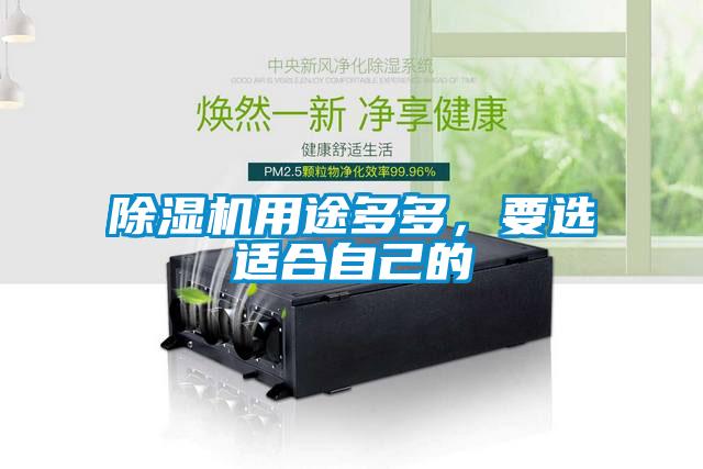 除濕機用途多多，要選適合自己的