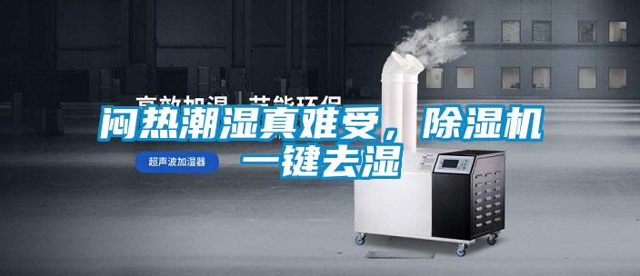 悶熱潮濕真難受，除濕機一鍵去濕