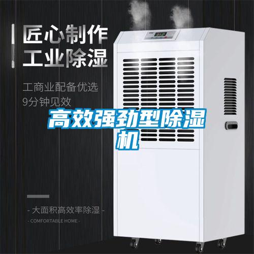 高效強勁型除濕機