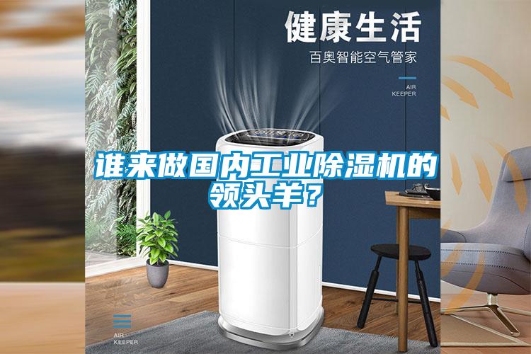誰來做國內工業除濕機的領頭羊？