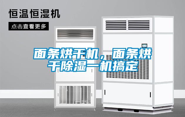 面條烘干機，面條烘干除濕一機搞定