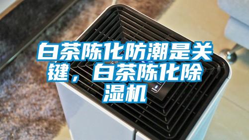 白茶陳化防潮是關(guān)鍵，白茶陳化除濕機
