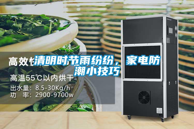 清明時節雨紛紛，家電防潮小技巧