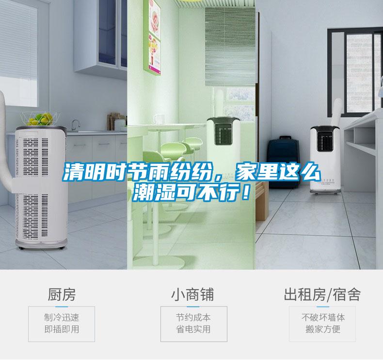 清明時節雨紛紛，家里這么潮濕可不行！